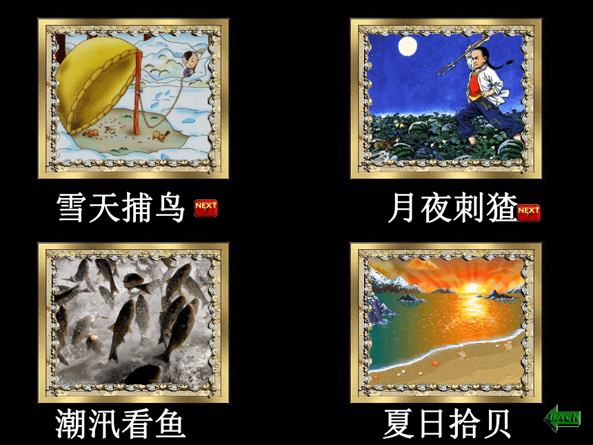 少年闰土    课件