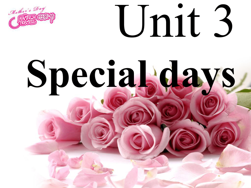 Unit 3 Special days Lesson 17 课件