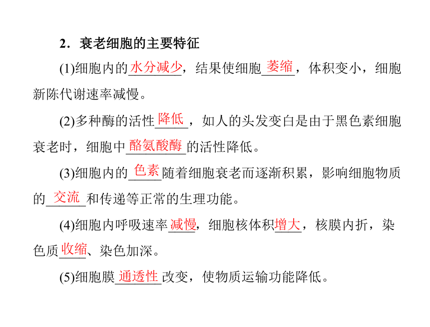 2017-2018学年 人教版必修1第六章第3节 细胞的衰老和凋亡 课件（15张）