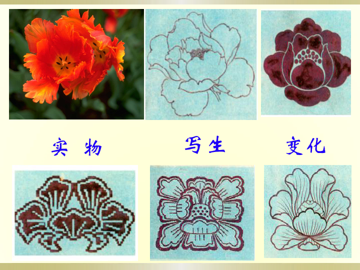 5.花卉与纹样 课件（21张幻灯片）