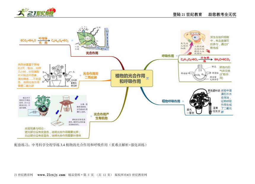 中考科学之生命科学考点思维导图全程解读