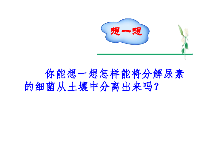 人教版高中生物选修1 专题2 课题2 土壤中分离尿素的细菌的分离与计数 上课课件（共44张ppt）