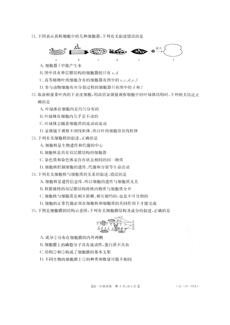 湖南省邵阳县2020-2021学年高一上学期期中考试生物试题 pdf版 含解析