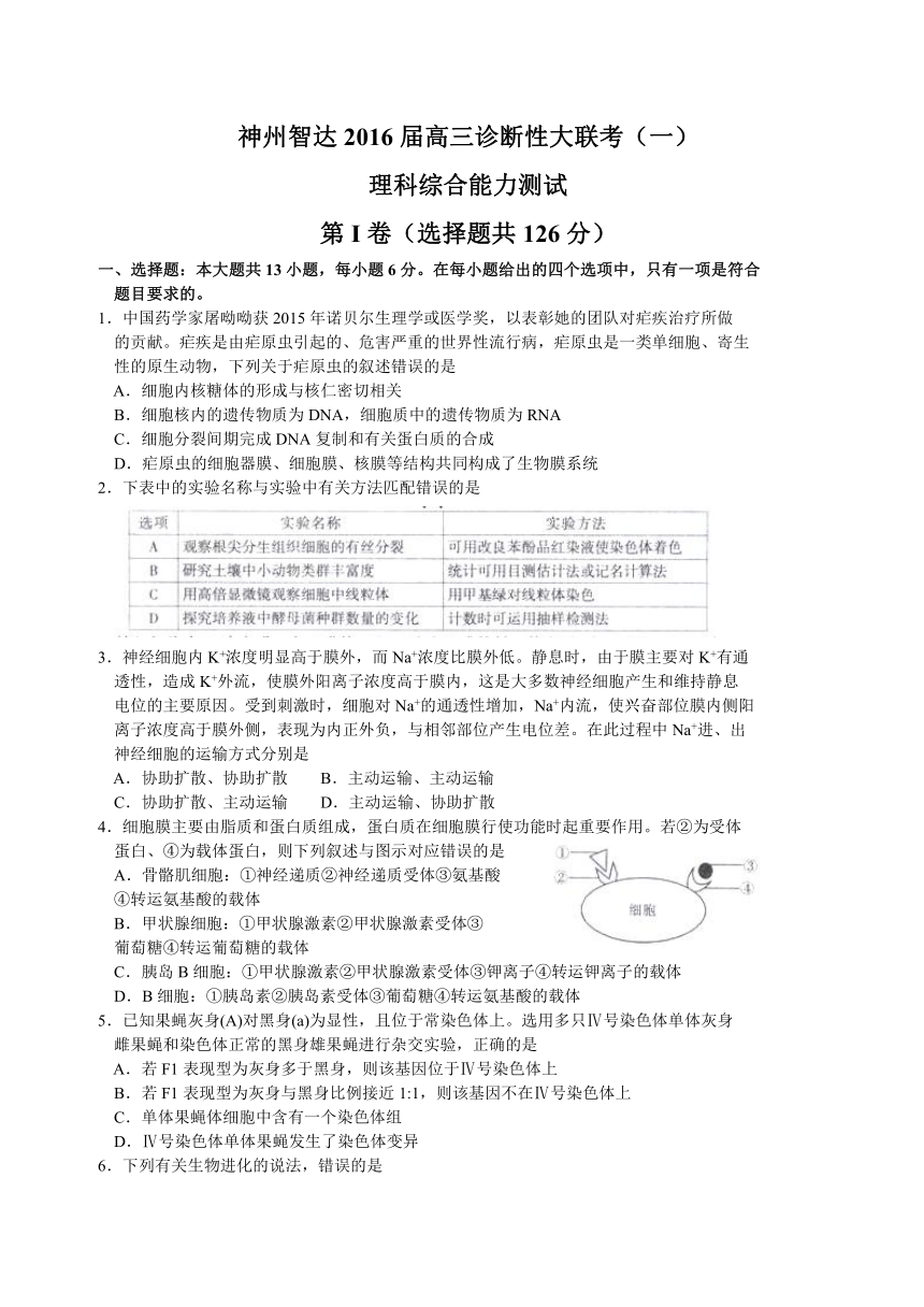 神州智达2016届高三诊断性大联考（一）理综试题（Word解析版）