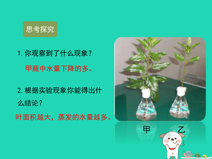 212綠色植物的蒸騰作用課件20張ppt