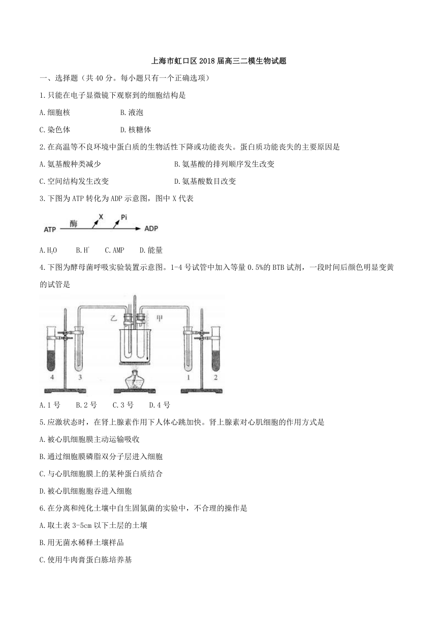 上海市虹口区2018届高三二模生物试题