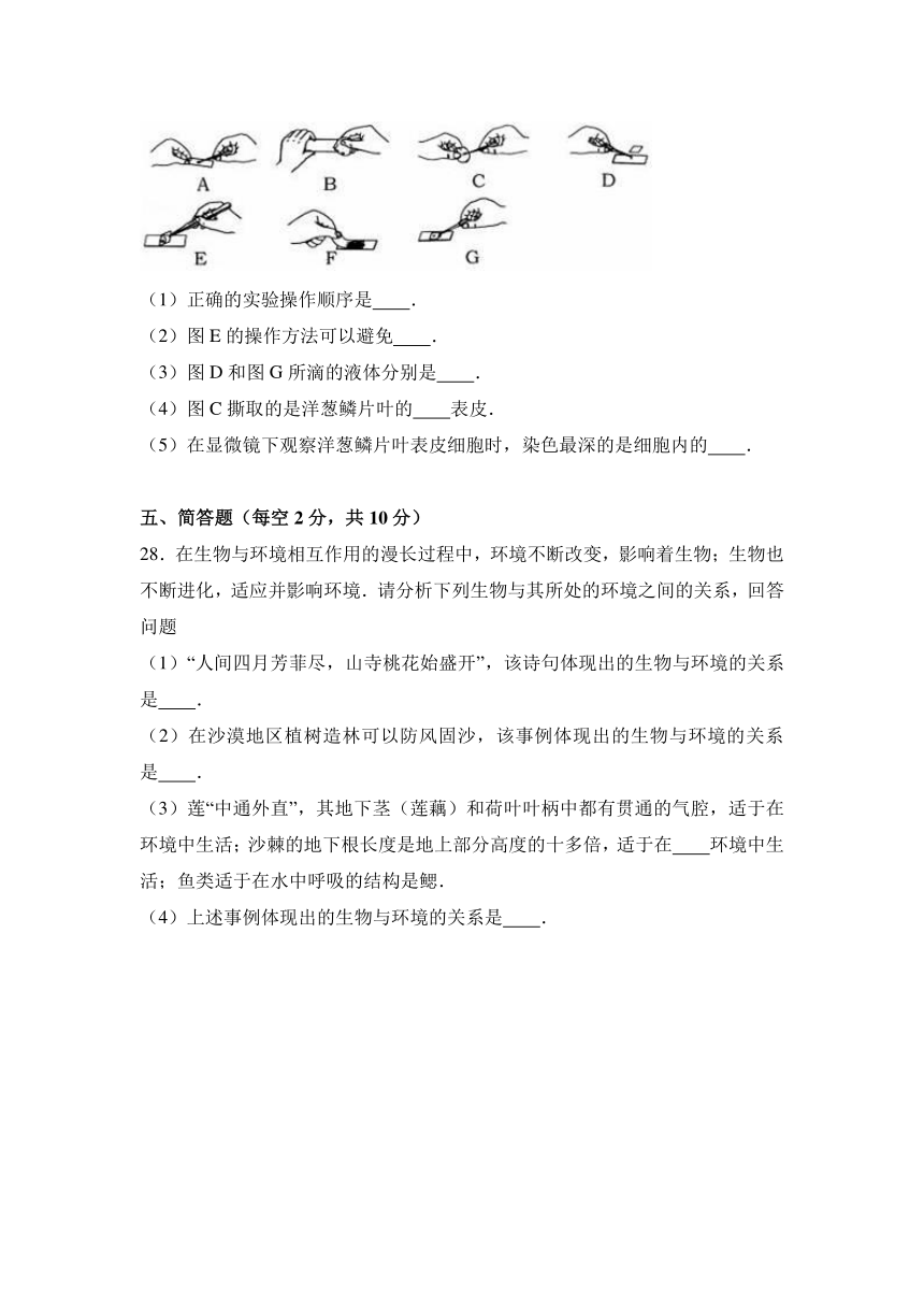 湖北省孝感市大悟县2016-2017学年七年级（上）期中生物试卷（解析版）