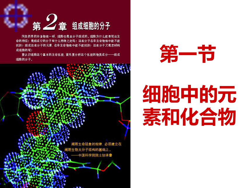 高中生物人教版必修2第三章第1节细胞中的元素和化合物  课件（22张ppt）