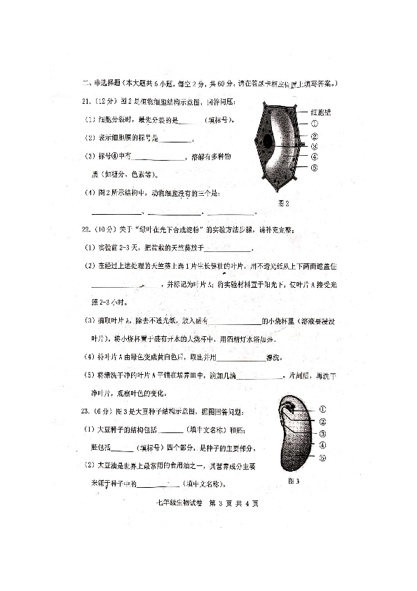 广西贵港市港南区2019-2020学年七年级上学期期末考试生物试题（扫描版含答案）