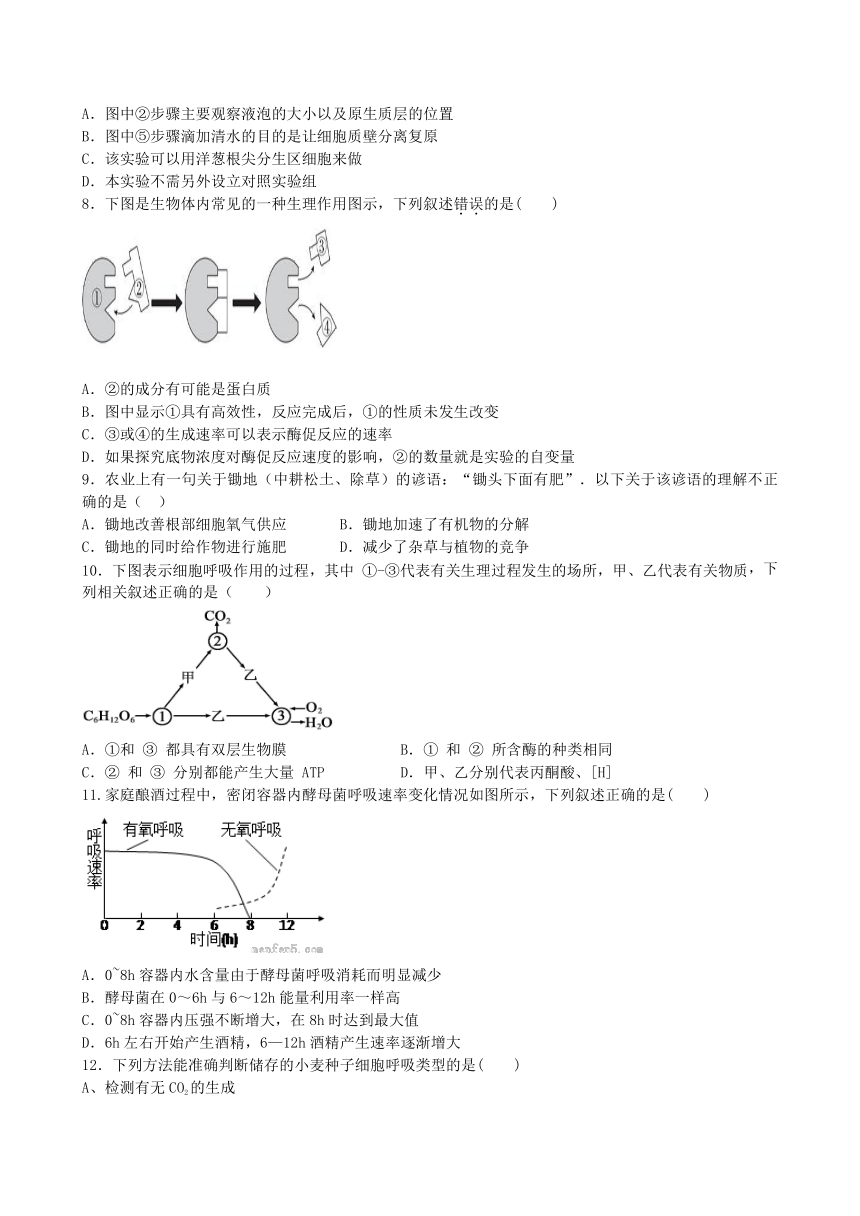 甘肃省会宁县第一中学2015-2016学年高一下学期期中考试生物试题