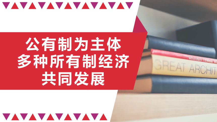 1以公有制为主体 多种所有制经济共同发展