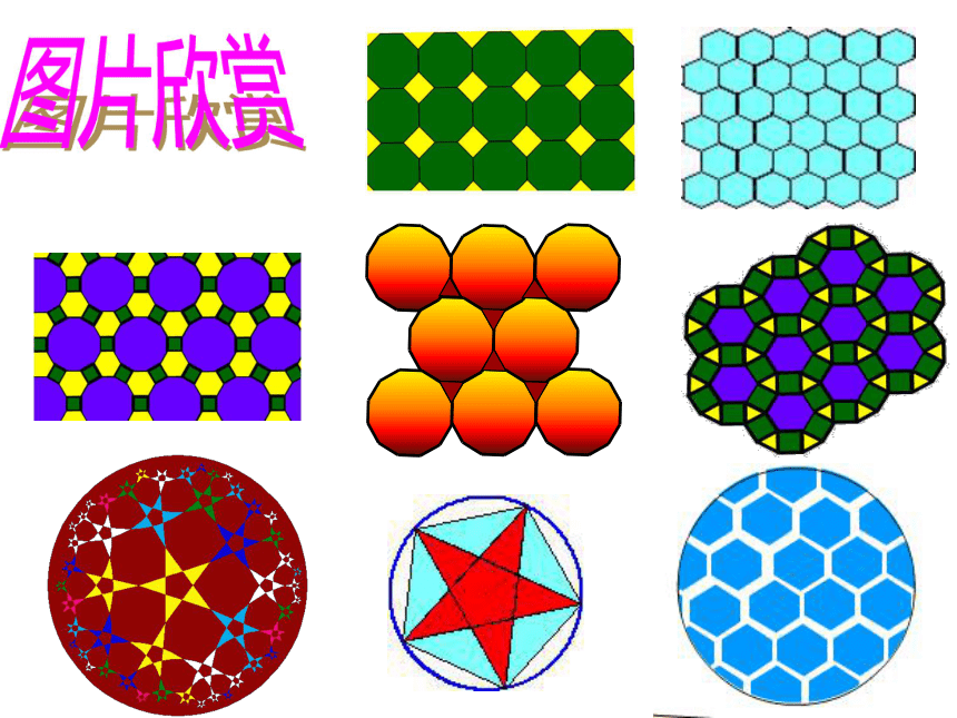 2021-2022学年度沪科版九年级数学下册课件 24.6 正多边形与圆（第1课时）(共16张PPT)