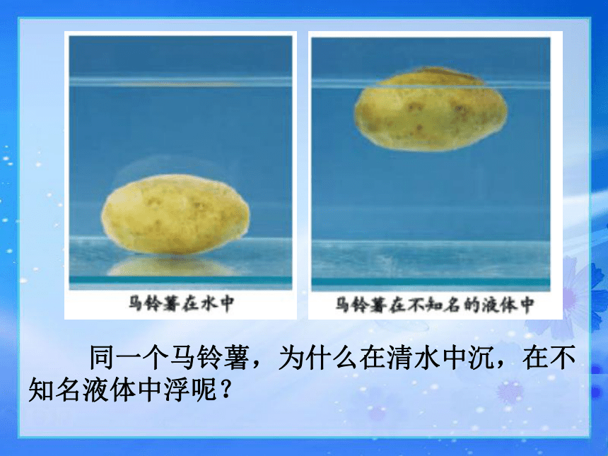 第7课马铃薯在液体中的沉浮 课件12ppt
