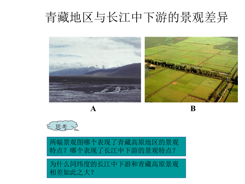 湘教版八年级地理下册 第五章 中国的区域差异 第三节 西北地区和青藏地区