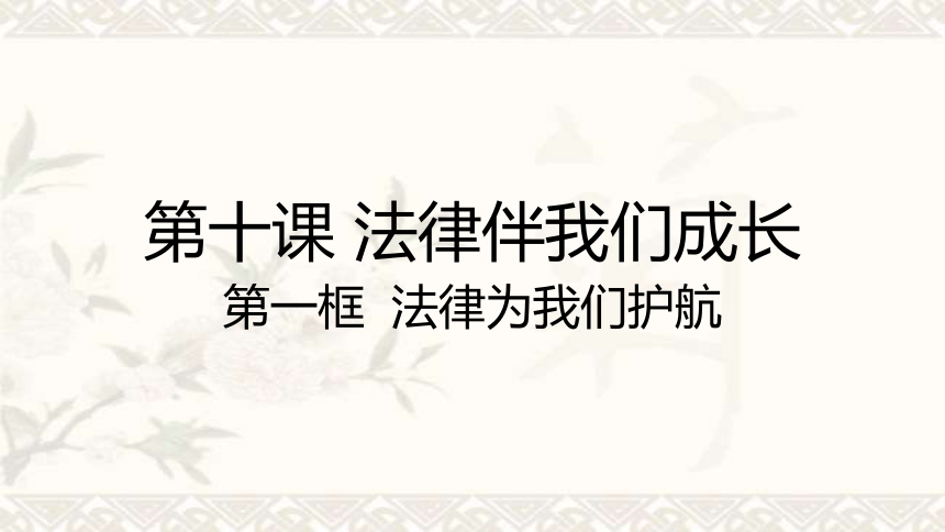 10.1 法律为我们护航 课件 (共31张PPT)