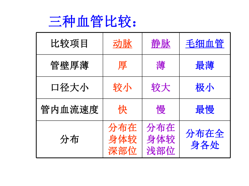 科学五年级上青岛版2.5心脏和血管课件5