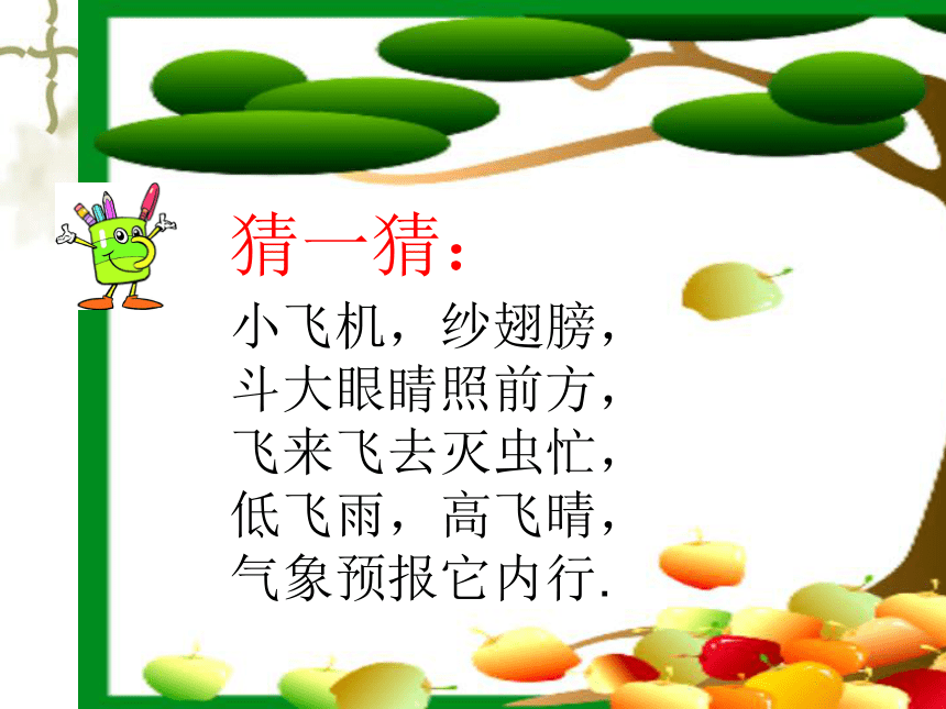 课件预览