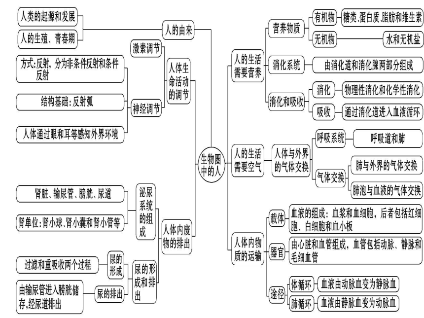 人教版七八年级生物全册知识专题体系概览（20PPT）