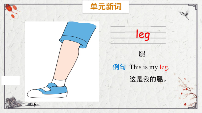 Unit 4 Body Lesson 1  This is my head课件（33张PPT)