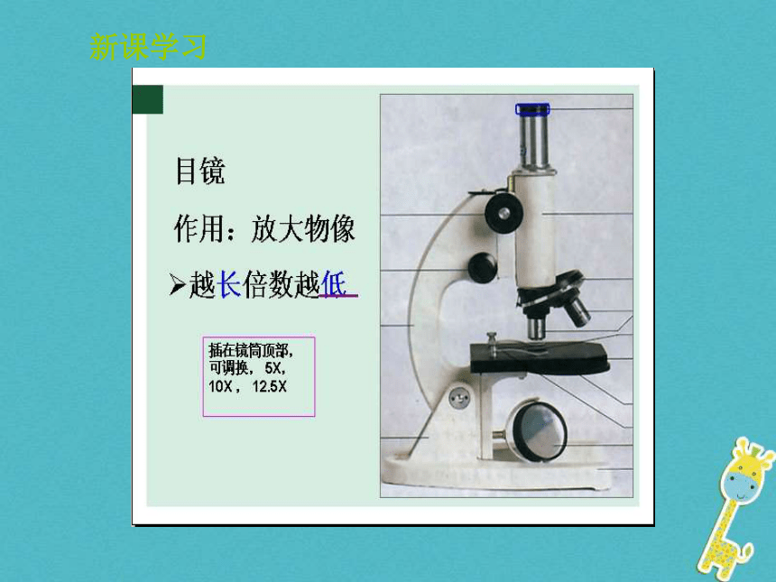 1.1.4《生物学的研究工具》课件 40张PPT