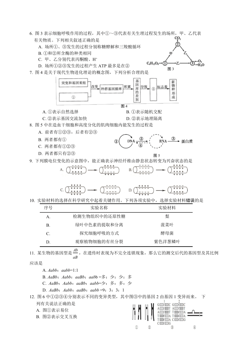 上海市松江区2018届高三下学期质量监控（二模）生命科学试题