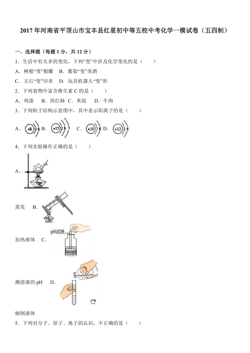 2017年河南省平顶山市宝丰县红星初中等五校中考化学一模试卷（五四制）（解析版）