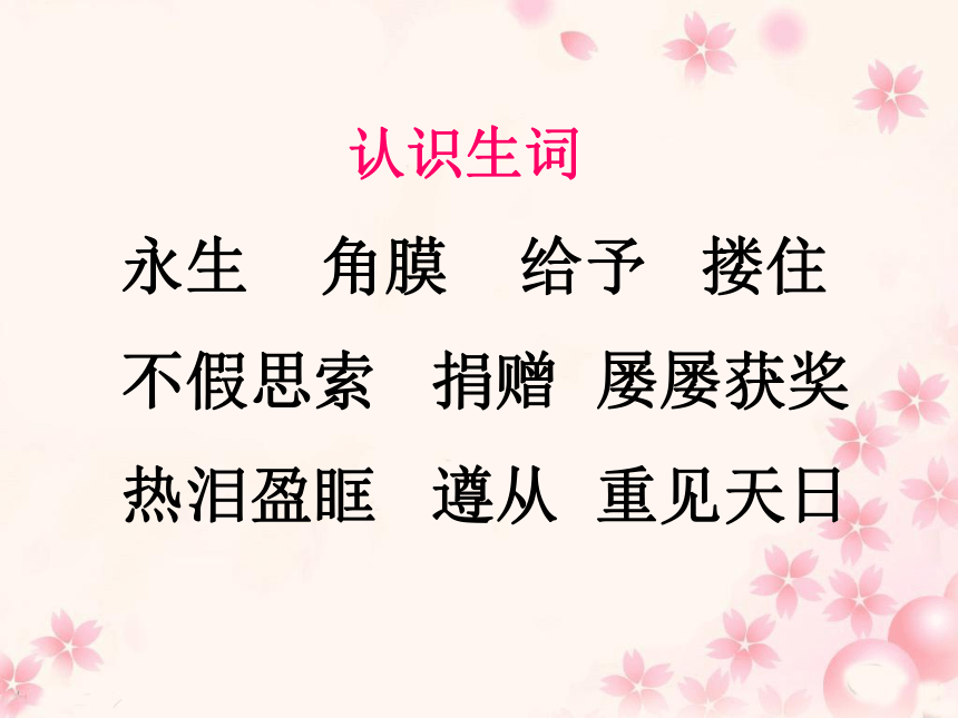 《永生的眼睛》教学课件2