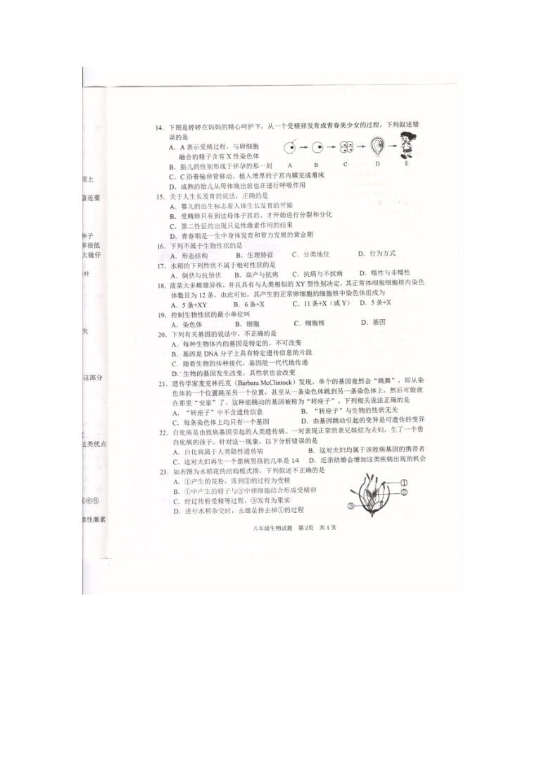 2020-2021学年度第一学期济南版八年级生物上册期中试卷（图片版无答案）