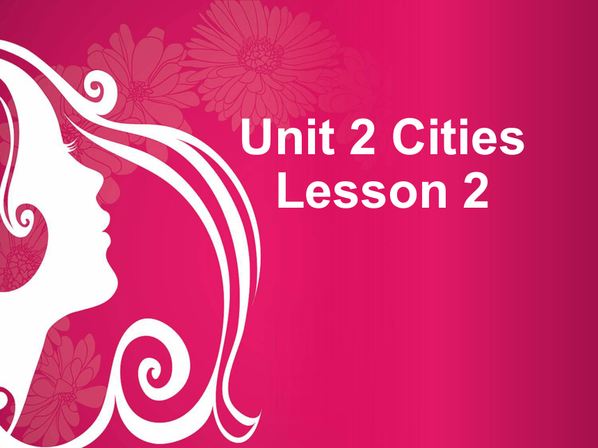 Unit 2 Cities Lesson 2 课件
