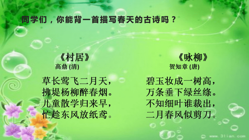 课件预览