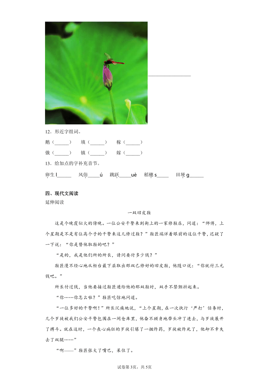 课件预览