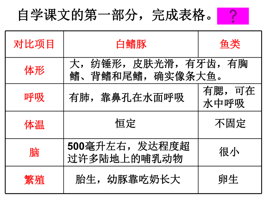 《白鳍豚》课件 (共19张PPT)