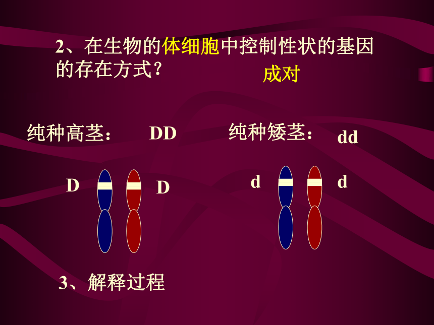 基因的分离定律[下学期]