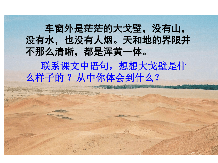 （北京版）五年级语文上册课件 白杨