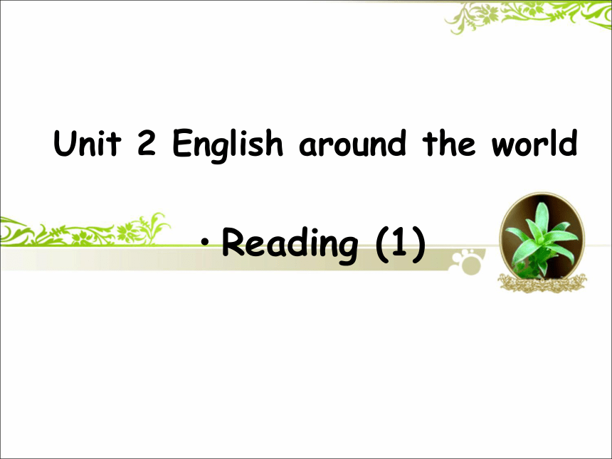 Unit 2 English around the world Reading 课件 (36张)