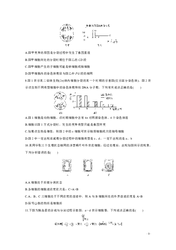 福建省泉州市泉港区第一中学2020届高三上学期期中考试 生物