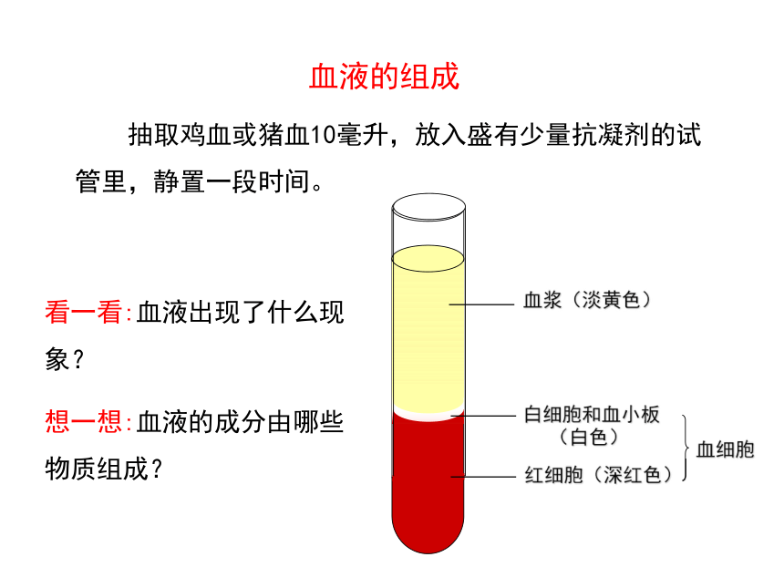 2ml血有多少图片图片