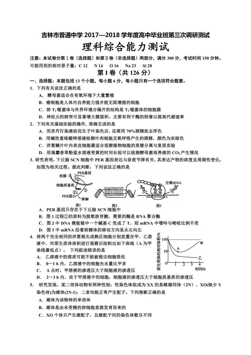 吉林省吉林市2018届高三第三次调研考试理综试题