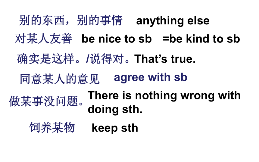 7B Unit8 Pets Speak up ａｎｄ study skills课件