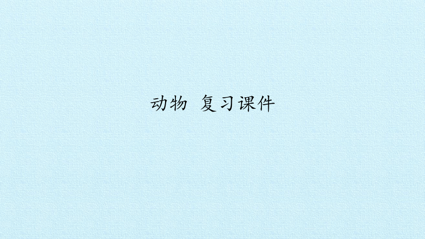 课件预览