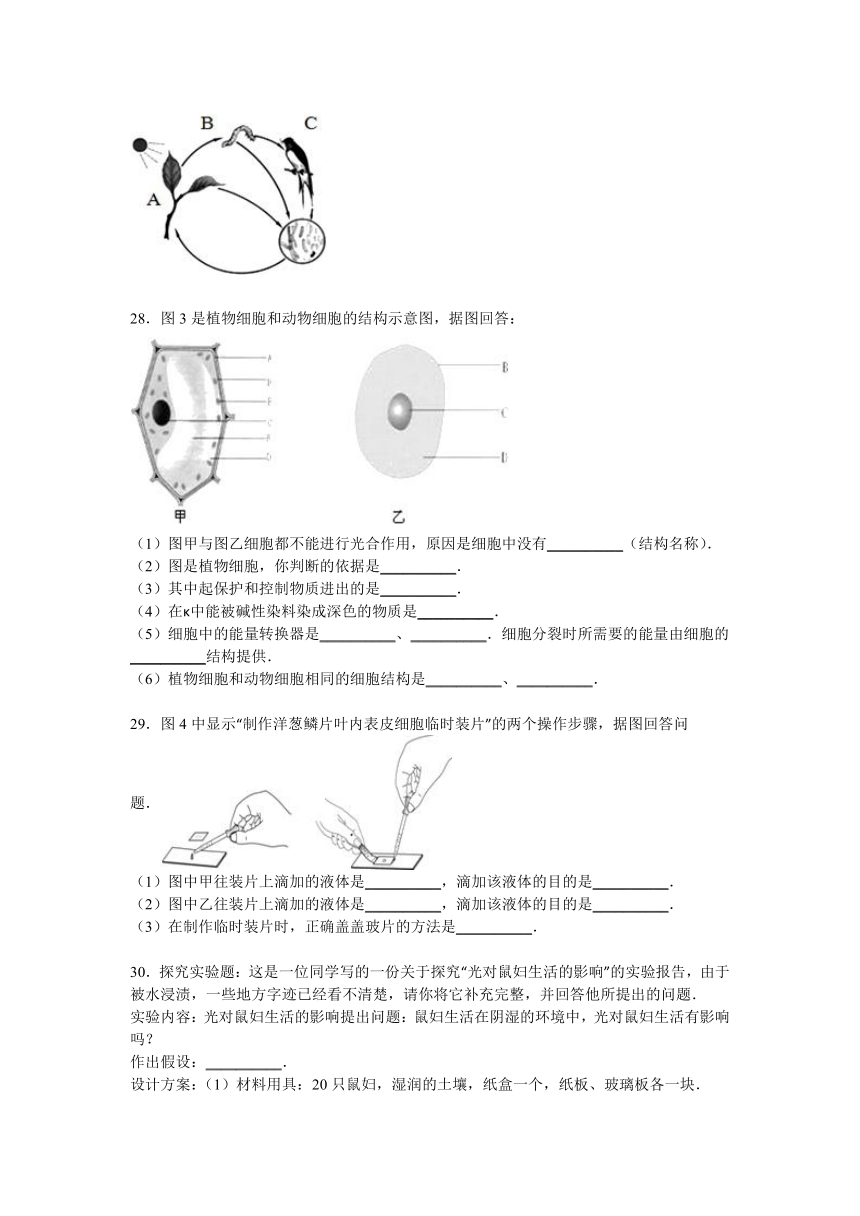 北京市实验学校2015-2016学年七年级上学期期中生物试卷【解析版】