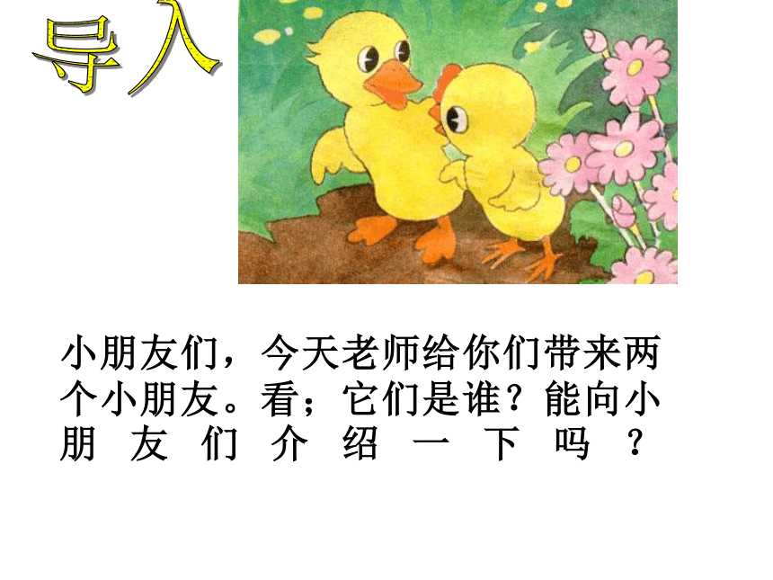 一年级语文下册课件-小公鸡和小鸭子