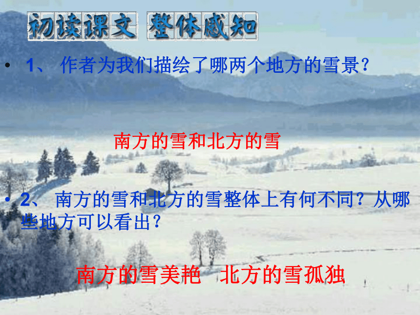 雪 课件