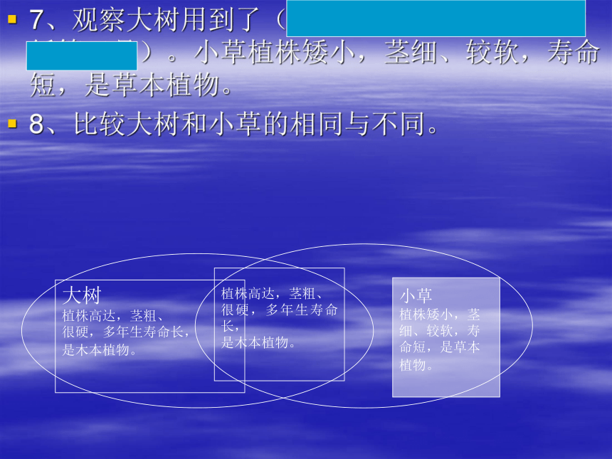 三年级上册科学总复习