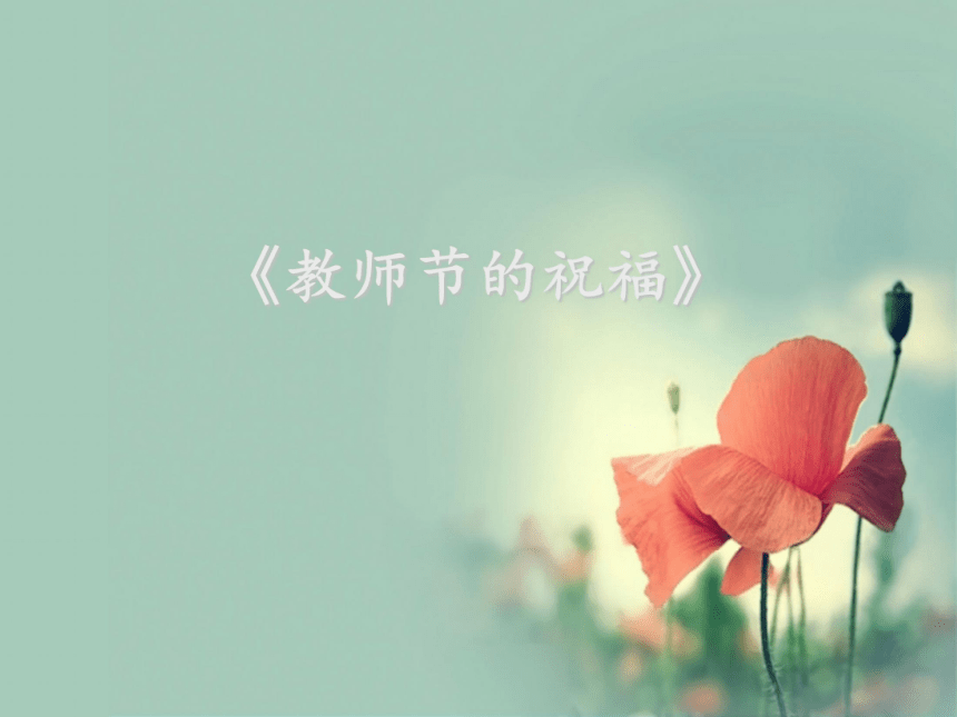 6 教师节的祝福 课件