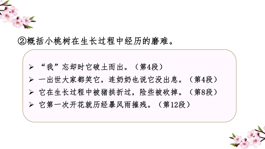 一棵小桃树背景简介图片