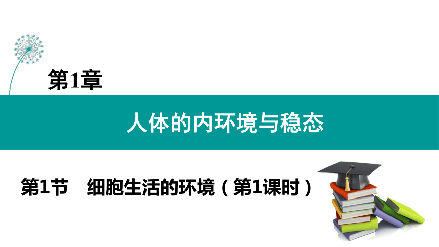 20212022學年高二生物選擇性2019必修一11細胞生活的環境2課時課件共