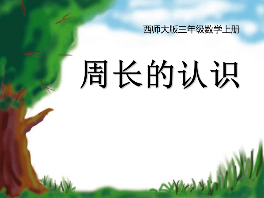 7.1 认识周长（课件）-2021-2022学年数学 三年级上册-西师大版(共12张PPT)