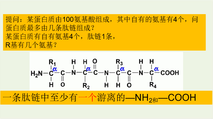 2019_2020学年高中生物专题2.3遗传信息的携带者——核酸课件（30张ppt）新人教版必修1