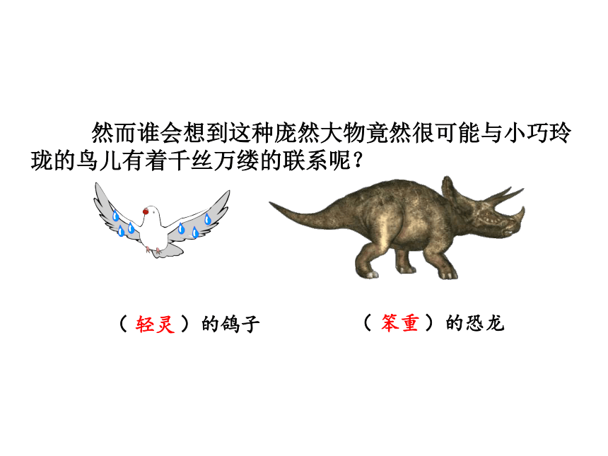 飞向蓝天的恐龙 课件